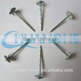 Sanfan-galvanized Thread Rolling Roofing Nails thumbnail-6