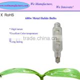 600w MH lamps