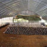 Galvanized Steel Pipes Greenhouse Structure With Hydroponic System thumbnail-6