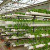 Multi Functional Glass Greenhouse For Hydroponic Greenhouse & Systems thumbnail-4