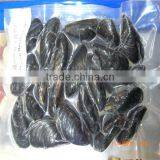 Frozen Cooked Best and Delicious Large Mussels thumbnail-1