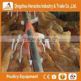 Automatic Broiler Poultry Farm Feeding and Drinking Systems & Chicken Poultry Farm Equipment thumbnail-6