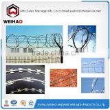 Bulgaria salable Factory selling directly razor barbed wire razor wire