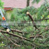 Telescopic Alum Anvil Pruner Garden Tools thumbnail-2