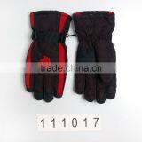 Ski Glove thumbnail-1
