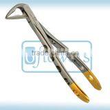 LOWER MOLARS ROOTS thumbnail-1