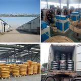 Shandong Focus Hose Co., Ltd. company overview - view 1 thumbnail