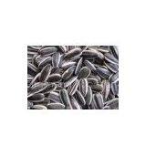 High Quality Sunflower Seeds5009 5135(20/64,22/64,24/64) thumbnail-1