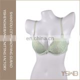 Customized wholesale cheap oem eco free sample ladies stylish sexy bra