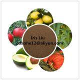 Copper Amino Acid Chelate 10% Cu Organic Fertilizer Amino Acid Chelated thumbnail-4