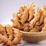 Wholesale Wholesale Wholesale Organic Fresh Ginger Price Quality Ginger thumbnail-1