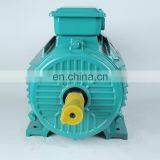 High Quality Cast Iron 3 Phase 7.5 kw 10 hp 10hp Electric Motor Price thumbnail-5