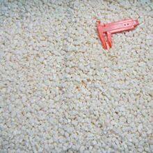 Frozen Diced Garlic thumbnail-1