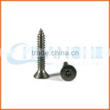 China supplier excellent quality torx anti-theft screw