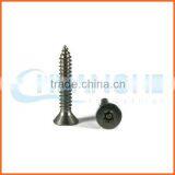 China Supplier Stainless Steel Torx Anti-theft Screws thumbnail-5