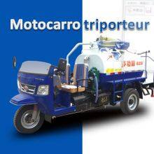 Diesel Engine Tricycle Weichai Lovol thumbnail-2