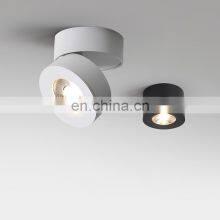 Surface Mounted Metal LED Black And White Ceiling Lamp Nordic Cloakroom Decoration Ceiling Lighting thumbnail-3