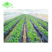 High Quality Agricultural Plastic Mulching Film Roll for Potatoes thumbnail-1