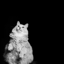 Test123companylalalalall company overview - view 1 thumbnail