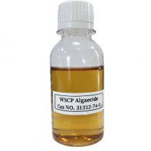 Mayosperse 60 Polyquaternium-42 Algaecide Concentrated FOR Swimming Pool thumbnail-1