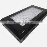 OEM LED Grow Light JL-G/ZWD-80X3W thumbnail-3
