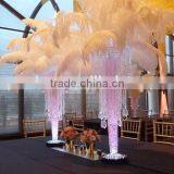 Wholesale Ostrich Feathers Wedding Centerpiece thumbnail-1
