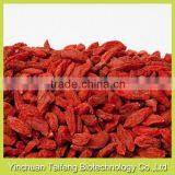 FDA Registered Organic Dried Wolfberry Ningxia Dried Wolfberry Wholesale for Lowering Blood Pressure thumbnail-1