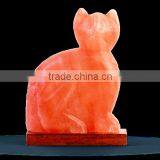 Cat Figure Shape Himalayan Salt Lamp