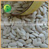 China Shine Skin Pumpkin Seeds thumbnail-3