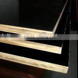 High Quality Clear Poplar Lumber Shuttering Construction Plywood thumbnail-4