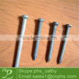 Concrete Nail thumbnail-1