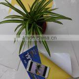 High Gloss Sticker Paper With Yellow Liner thumbnail-2