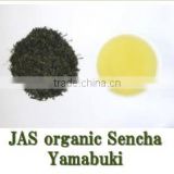 JAS Organic "SENCHA Yamabuki" GREEN TEA : Organic Fist Flush Loose Leaf Teas made in Japan