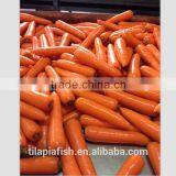 plush carrot , fresh carrot manufacture