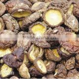 dried shitake mushrooms