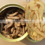 Canned Waxworm Bird,fish,reptile and Other Animals thumbnail-1