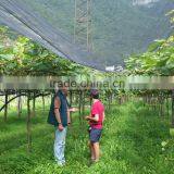 High Effective Organic Fertilizers for All Types of Crops and Soil thumbnail-3