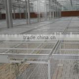 Hot dipped galvanized wire mesh for greenhouse seedbed benches