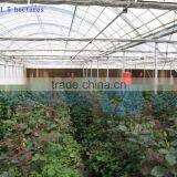 Agricultural Commercial Glass Greenhouses (ISO9001:2000) thumbnail-1