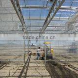 Wholesale Greenhouse thumbnail-3