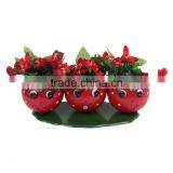 Smily Tomato Face With 3 Pots thumbnail-1