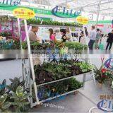 451Greenhouse Flower Display Equipment thumbnail-1