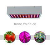 Ebay Best Selling 300w Full Spectrum Led Grow Light for Flowering and Fruiting thumbnail-3