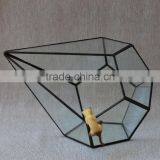 Glass Vases Terrarium Ornament Indoor Plant Greenhouse Handblown Glass Terrarium thumbnail-3