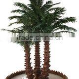 Outdoor Artificial Coconut Tree Shopping Malls Cheap Wholesale Fake Palm Tree thumbnail-2