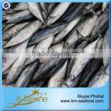 Carton or Woven Bag Packed Without Faure Marin Froze Bonito thumbnail-1