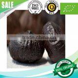 Peeled Black Garlic (new Product) --HC Company Manufacturer thumbnail-4