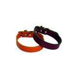 Sell Dog Collar thumbnail-1