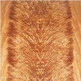 Okoume Crotch thumbnail-1