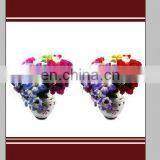 C-001 Digital Printed Curtain